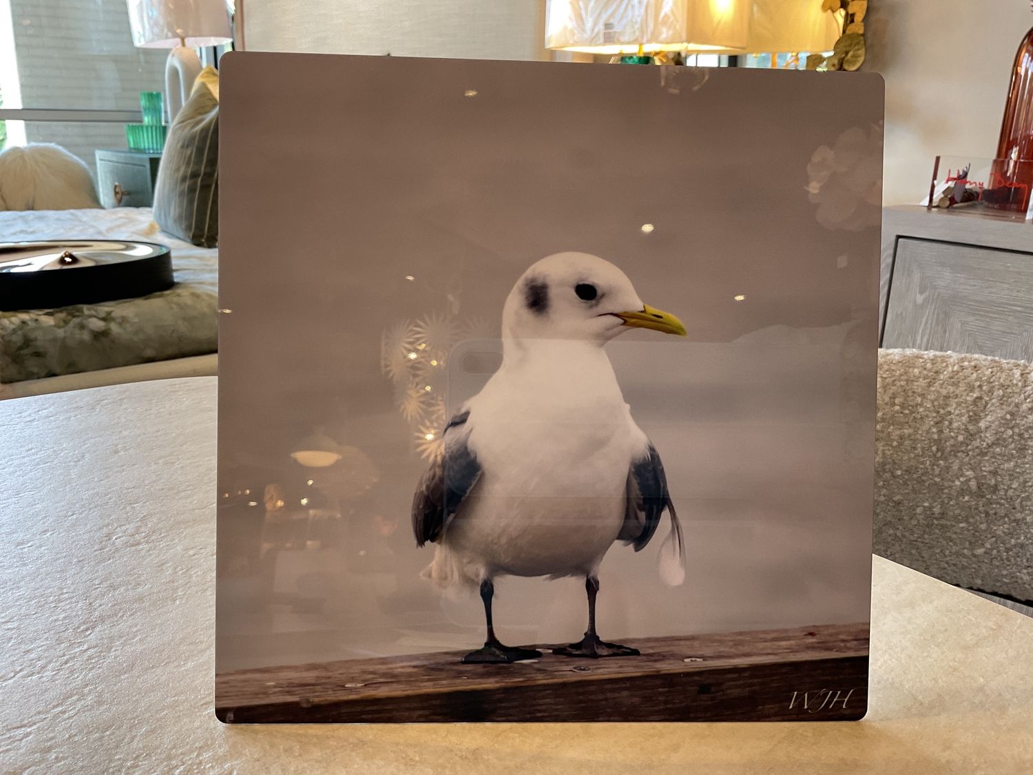 Wall Art-Seagull-S