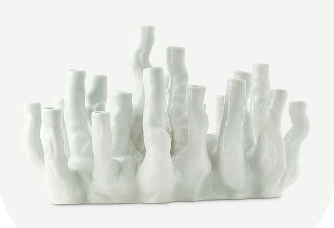 Vase-White-Coral Reef