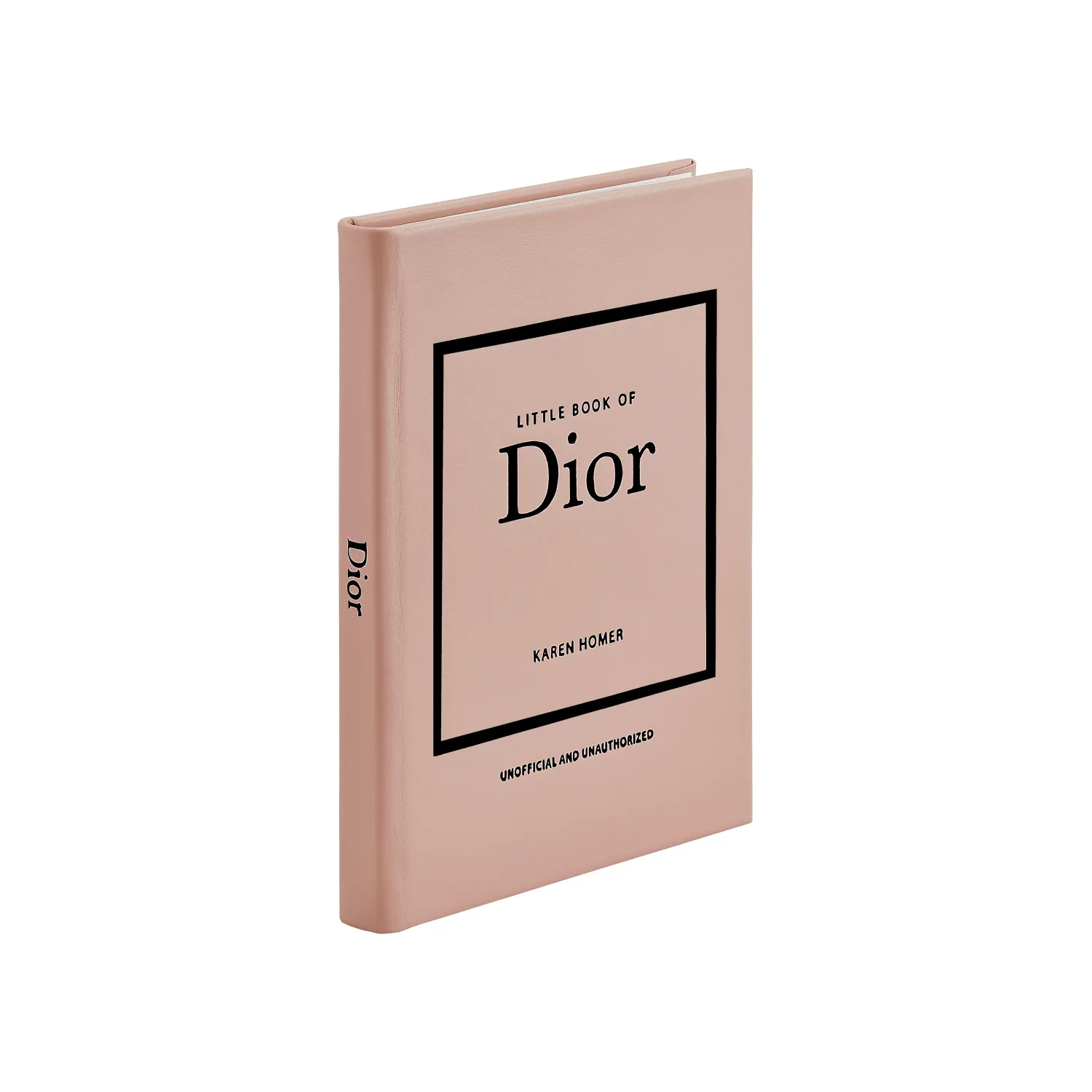 Little Book-Dior