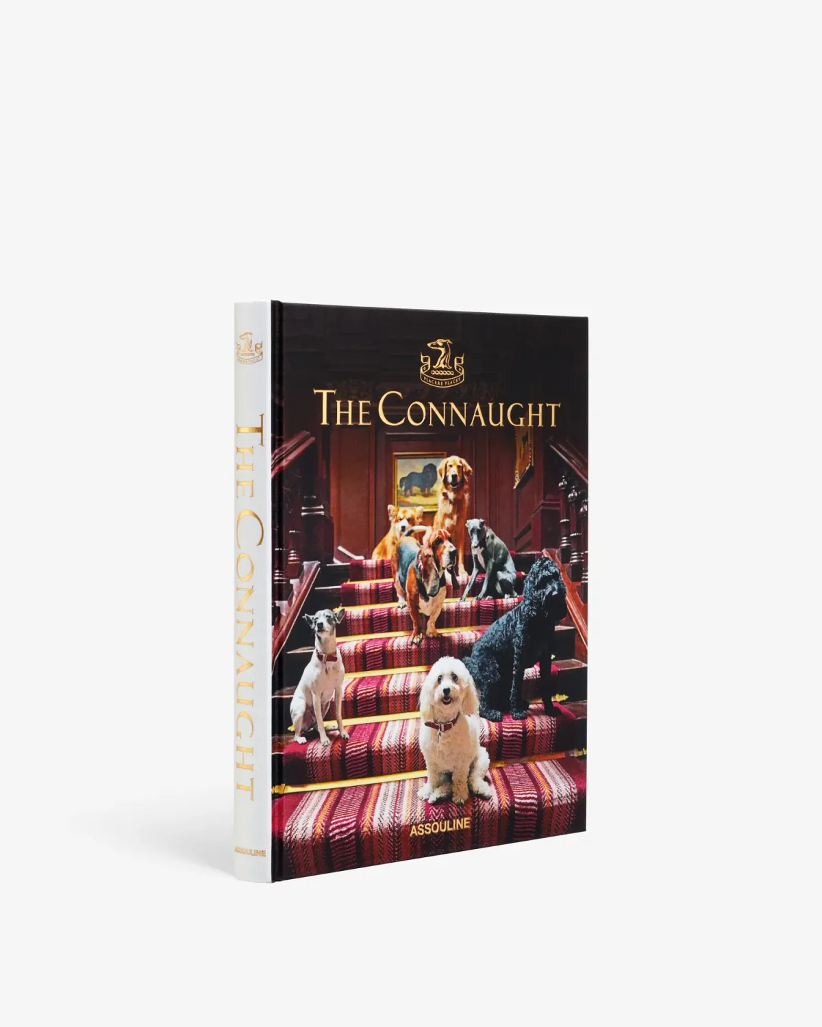 Book-Connaught Hotel