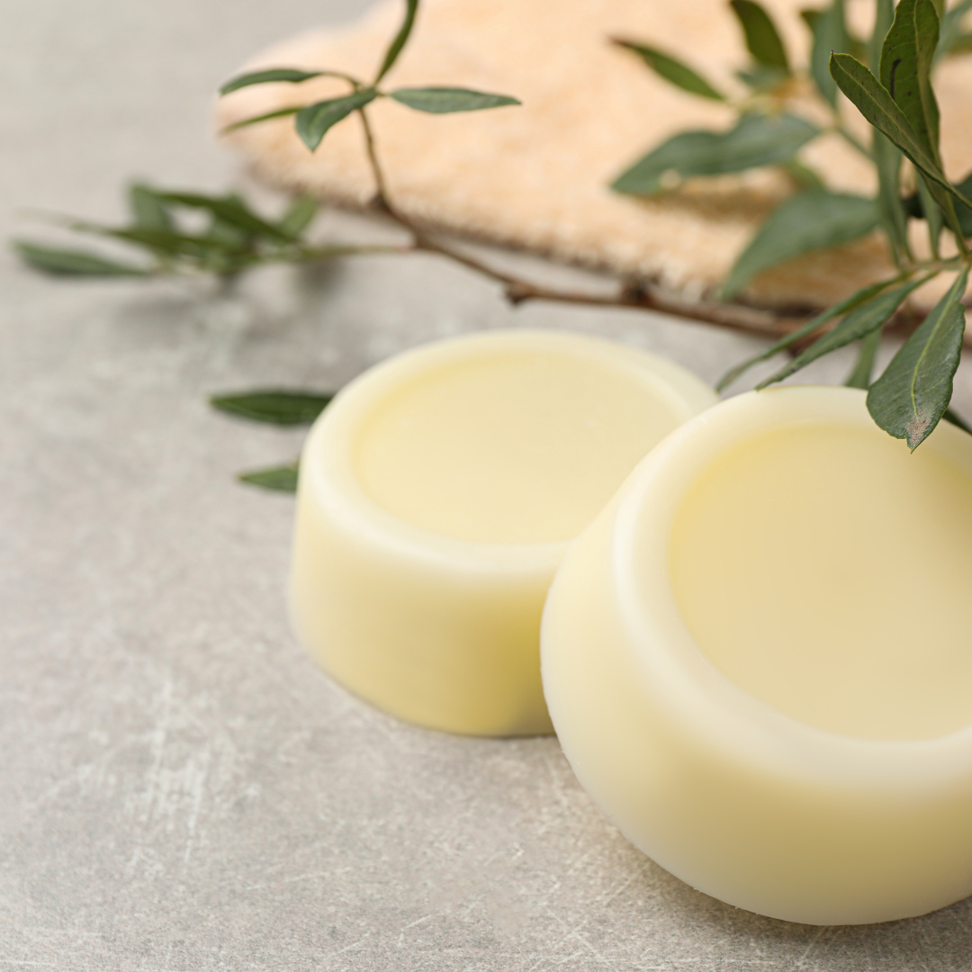 Shampoo and Conditioner Bar Set
