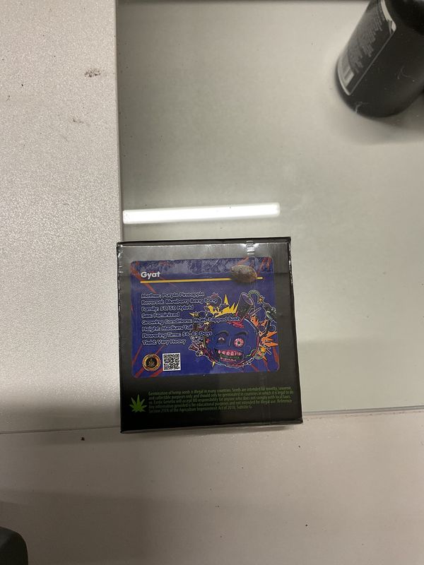 Exotic Genetix-Gyat 6 pack