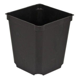 3.5” Square Black Injection Pot