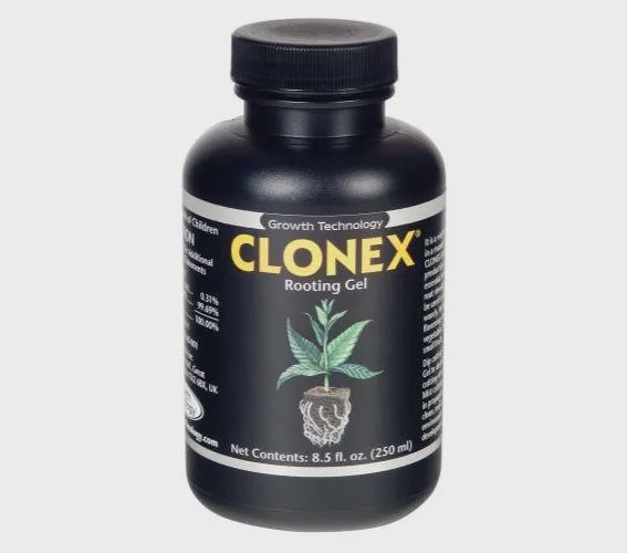 Clonex Rooting Gel - 250 mL