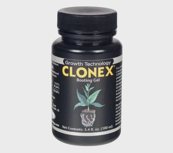 Clonex 100ml