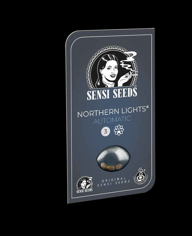 Northern Lights Auto