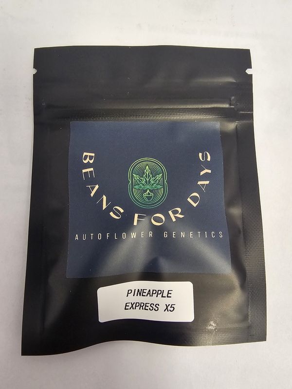 Pineapple Express Fem Auto-5 Pack