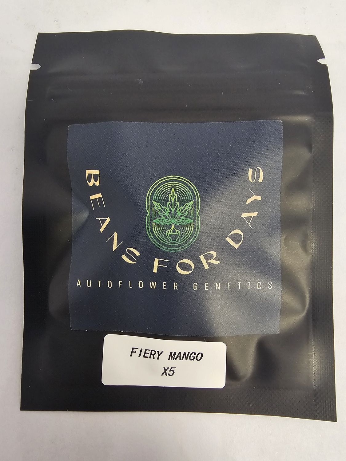 Fiery Mango Fem Auto-5 Pack