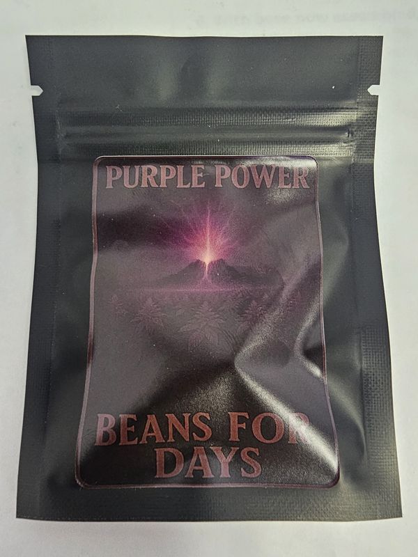 Purple Power Fem Auto-5 Pack