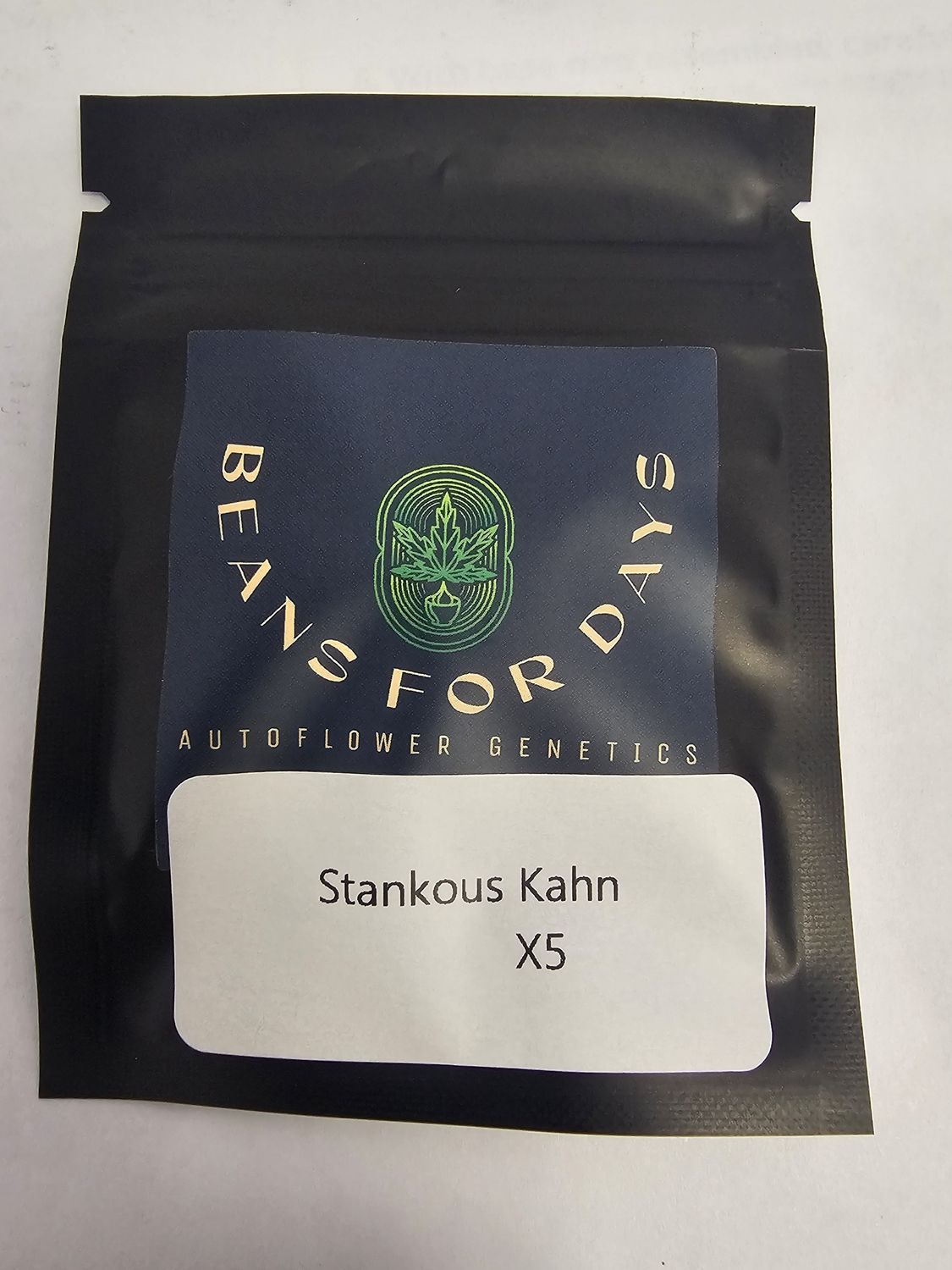 Stankous Kahn Fem Auto-5 Pack