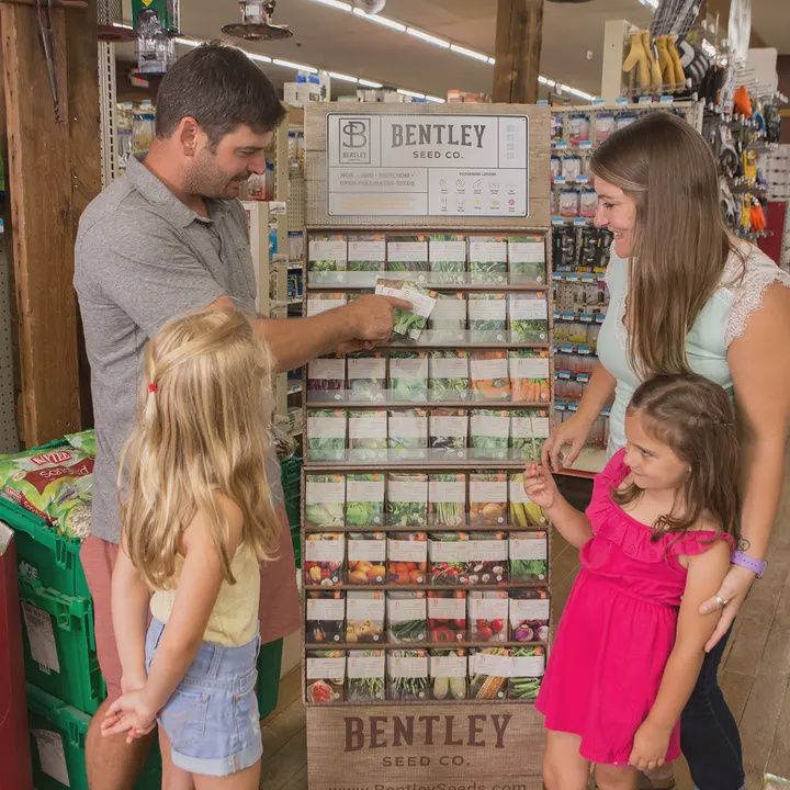 500 Southern Assortment Veg/Herb/Flower Seed Packet Display