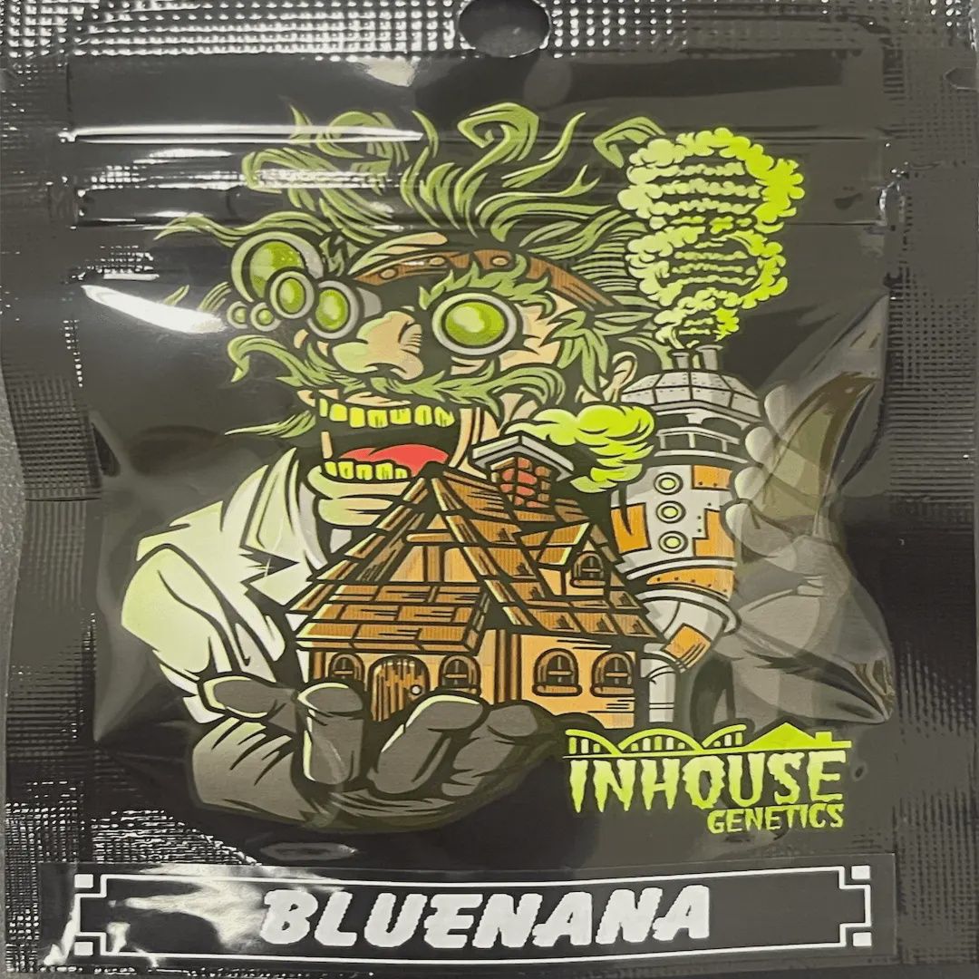 Bluenana Feminized Seeds