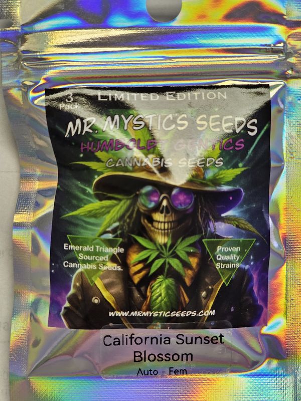 California Sunset Blossom - 3 Feminized Auto Flower Seeds