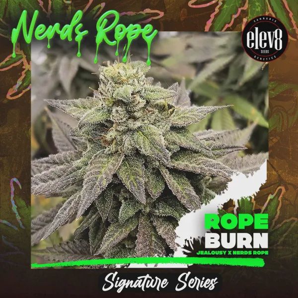 Rope Burn