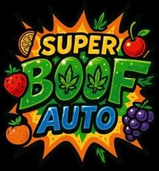 Super Boof Auto-3 Seeds