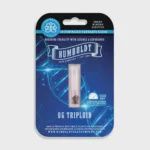 OG Triploid Autoflower-5 seeds