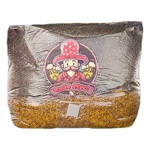 CVG All-In-One Mushroom Spawn Bag 7lbs