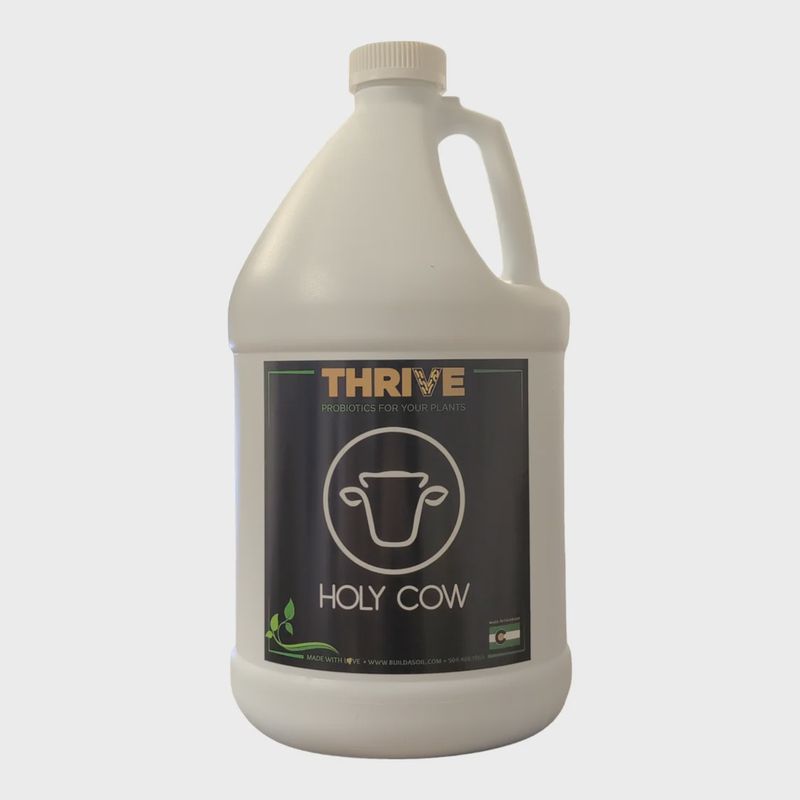 Thrive Yah-Whey Concentrate: Holy Cow - 1 Gallon