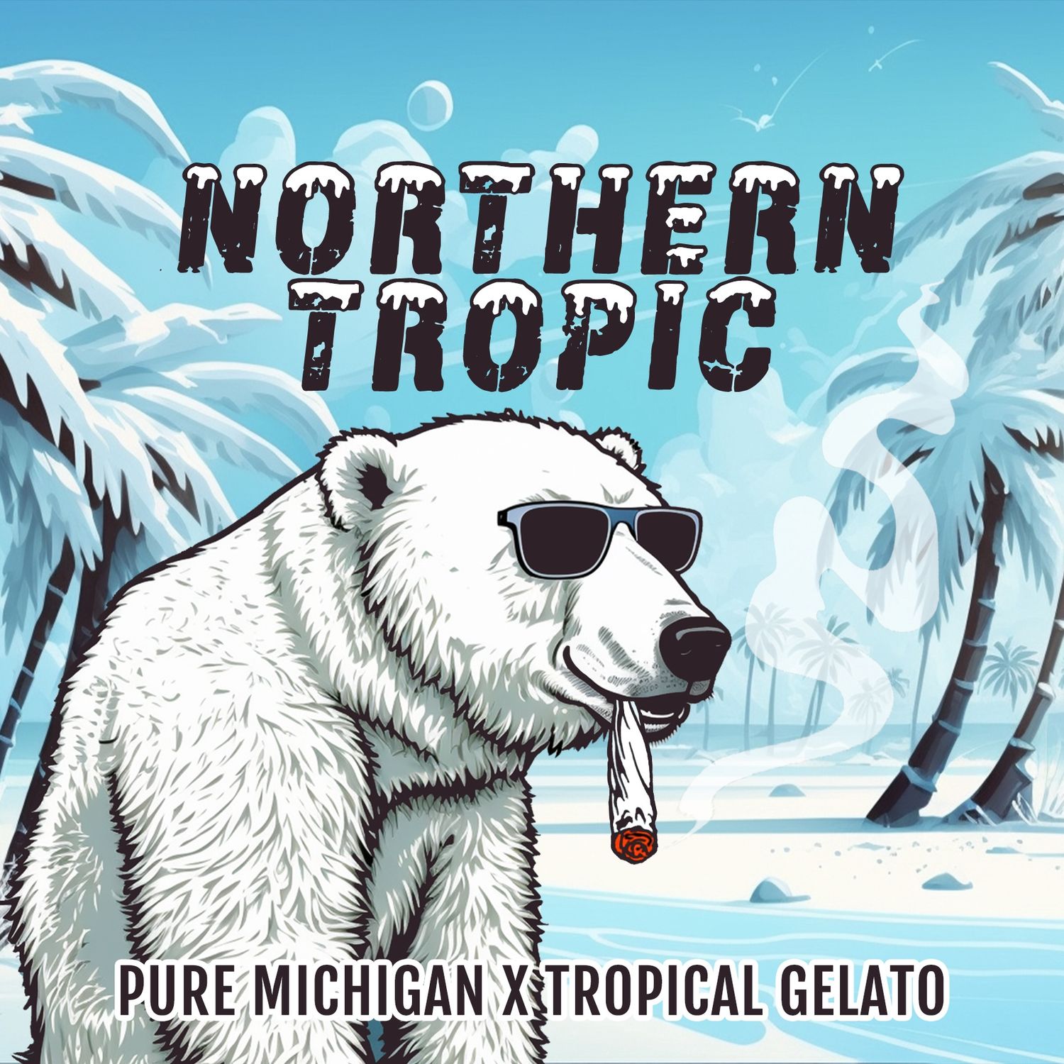 Northern Tropic, 6 pack