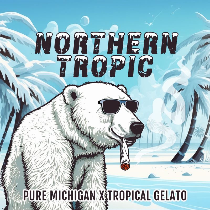Northern Tropic, 6 pack
