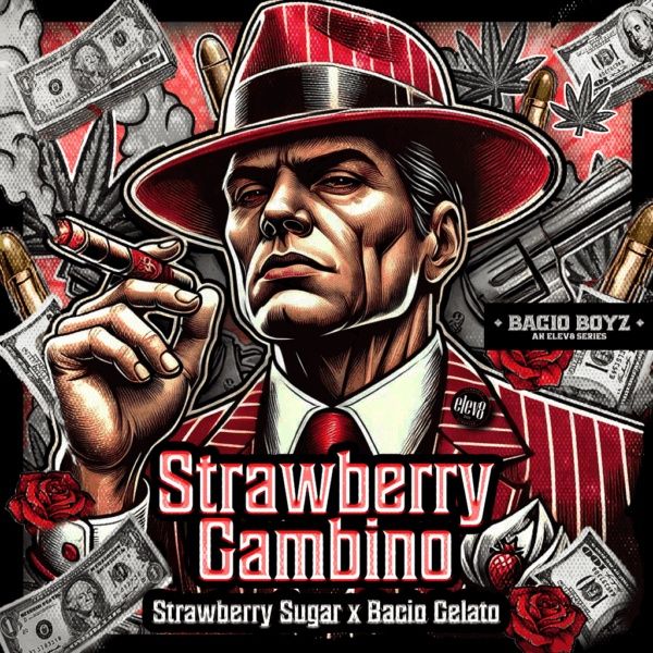 Strawberry Gambino