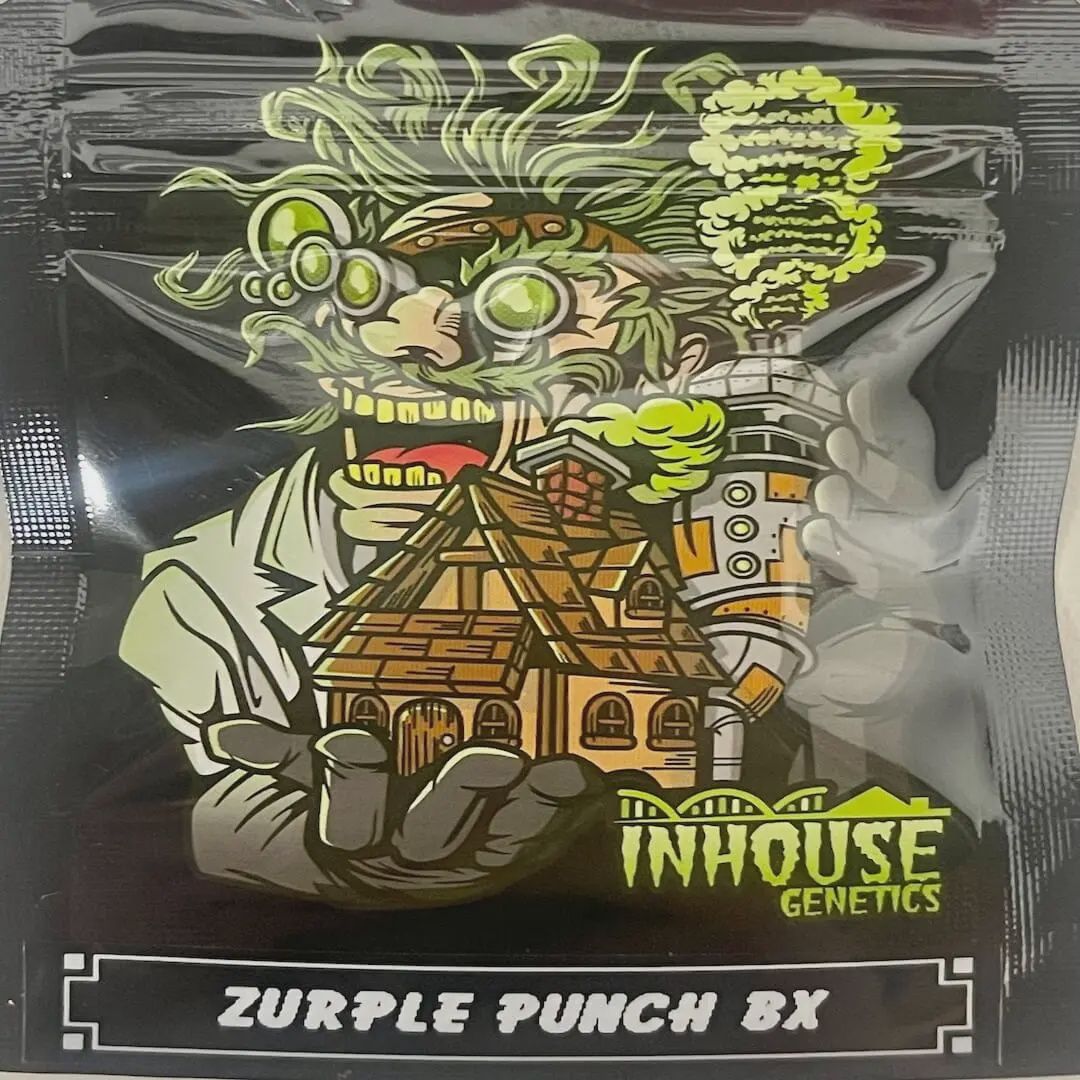 Zurple Punch BX - 3 pack