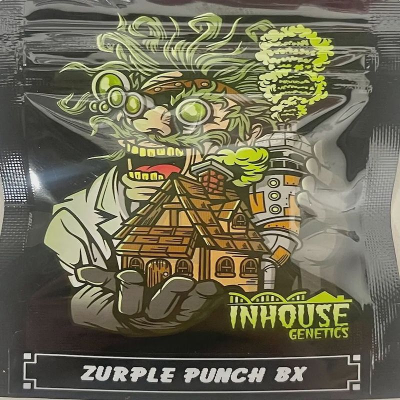 Zurple Punch BX - 3 pack