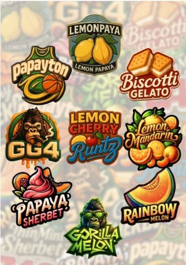 Mix Pack - 5 pack