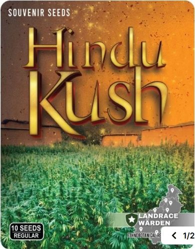 Hindu Kush Regular Seeds
