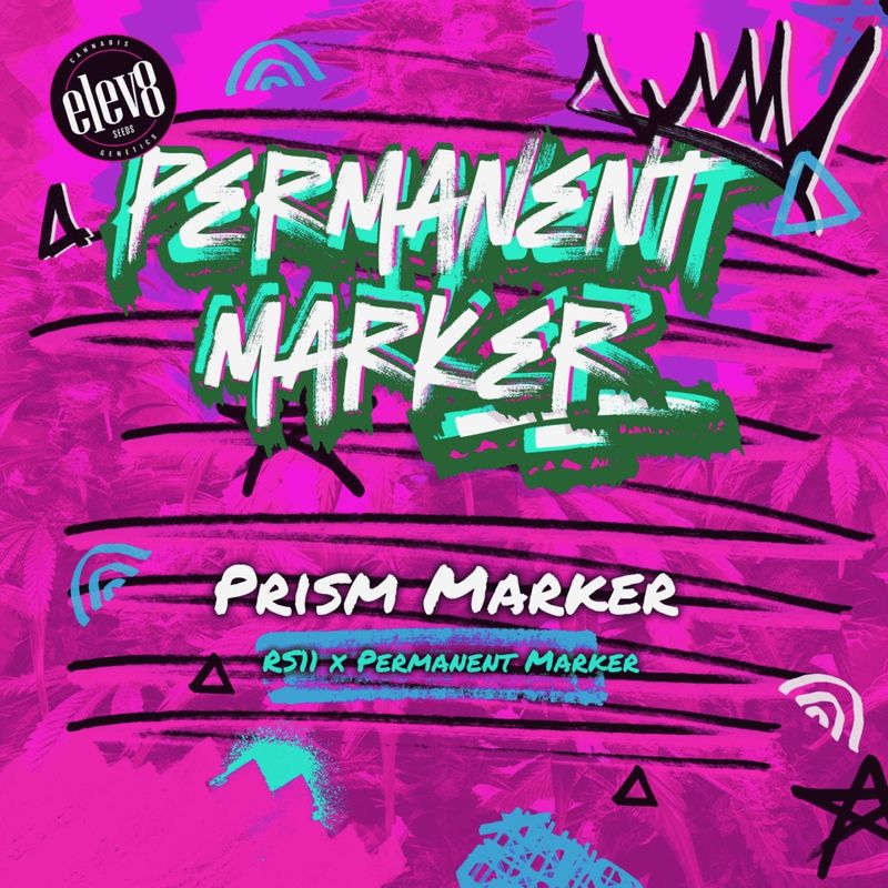 Prism Marker - 6 pack