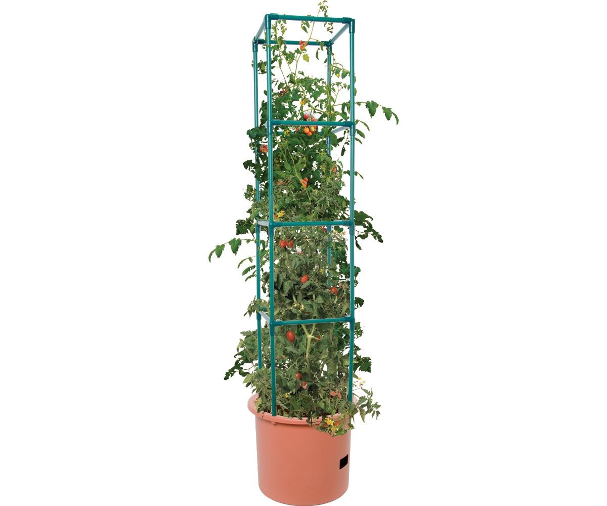 Heavy Duty Tomato Barrel with 4&#39; Tower