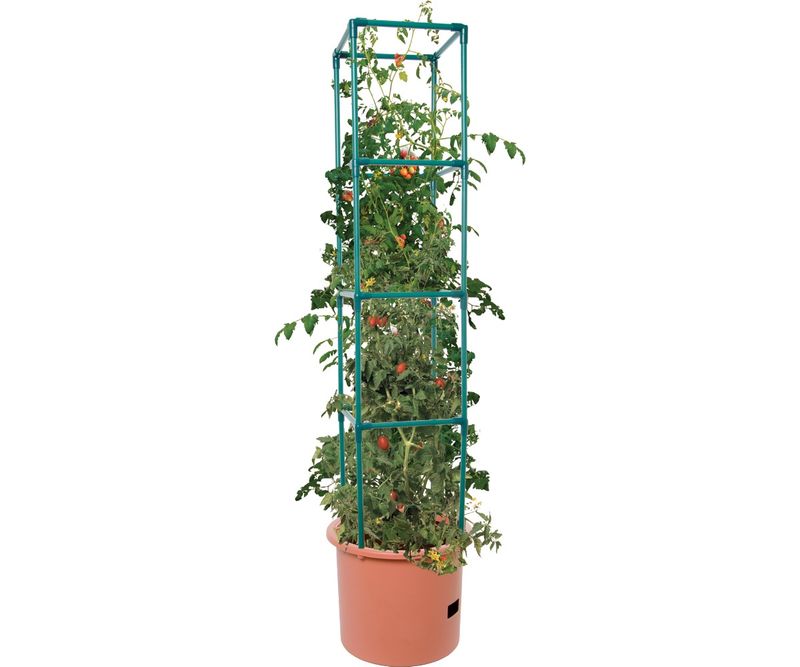 Heavy Duty Tomato Barrel with 4&#39; Tower
