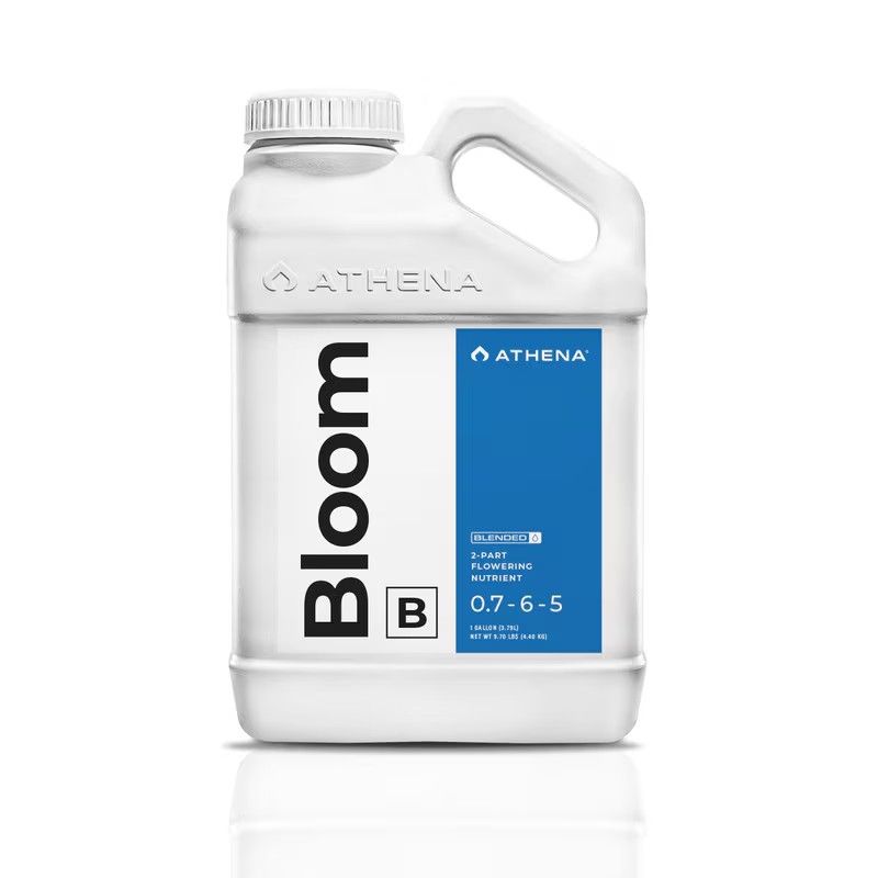 Athena Bloom B 1 gallon