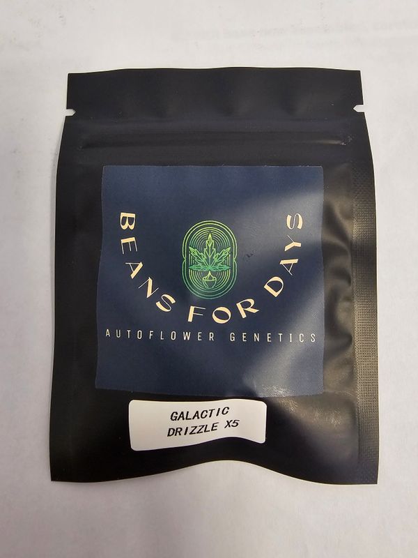 Galactic Drizzle Fem Auto-5 Pack