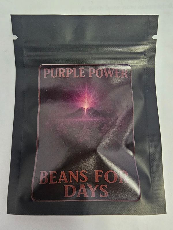Purple Power Fem Auto-5 Pack