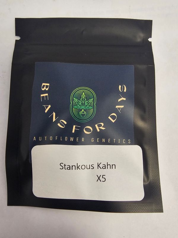 Stankous Kahn Fem Auto-5 Pack