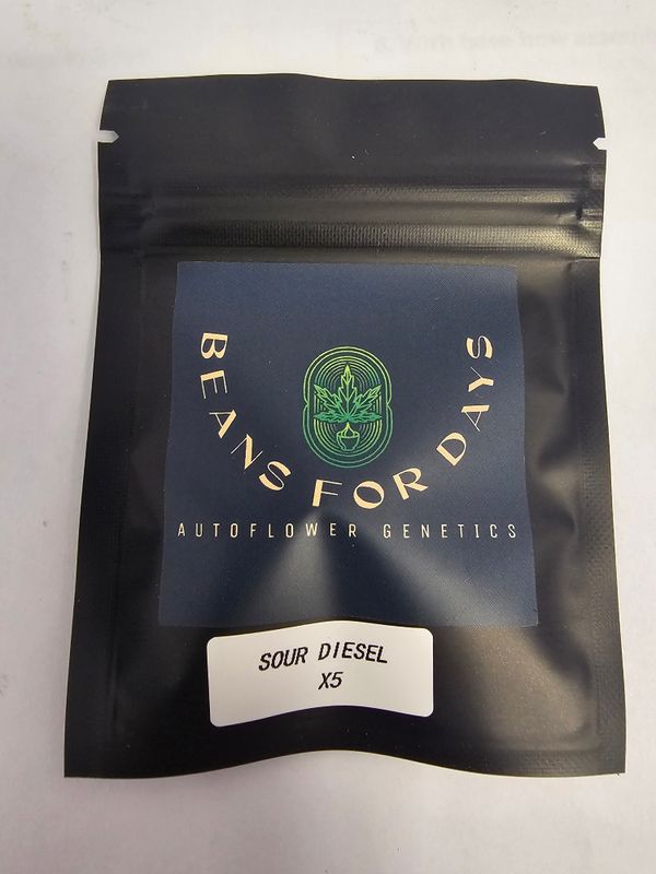 Sour Diesel Fem Auto-5 Pack