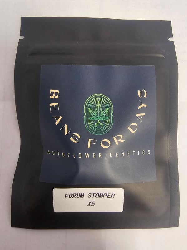 Forum Stomper Fem Auto-5 Pack
