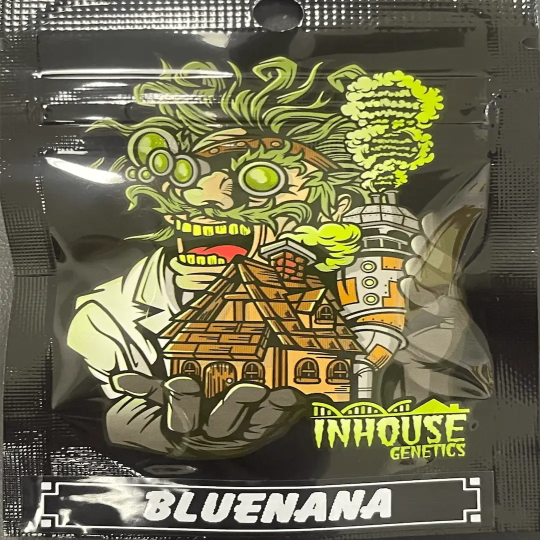 Bluenana Feminized Seeds