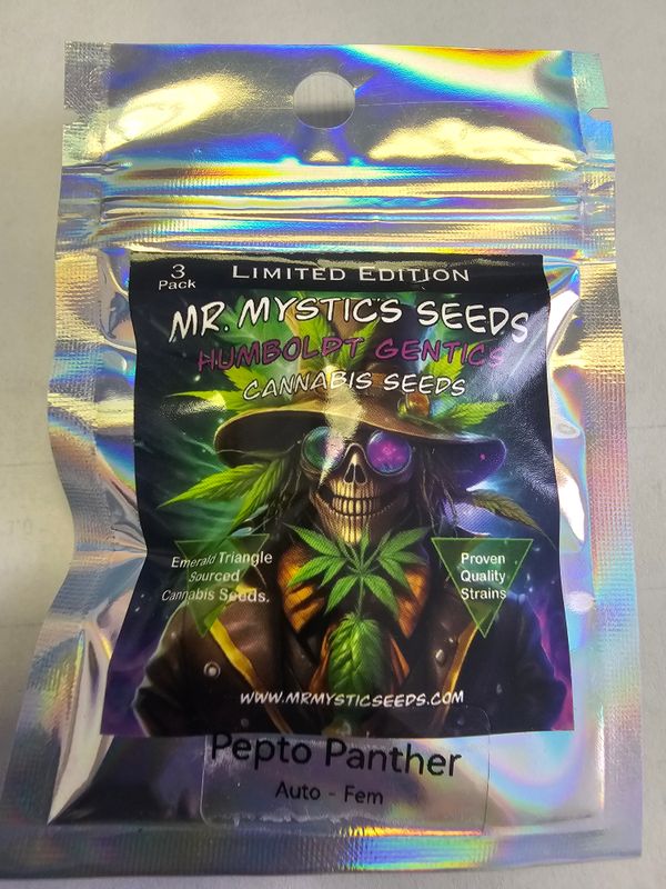 Pepto Panther AUTO FLOWER Seeds - 3 Pack