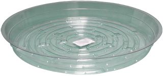 Clear Saucer, 10"