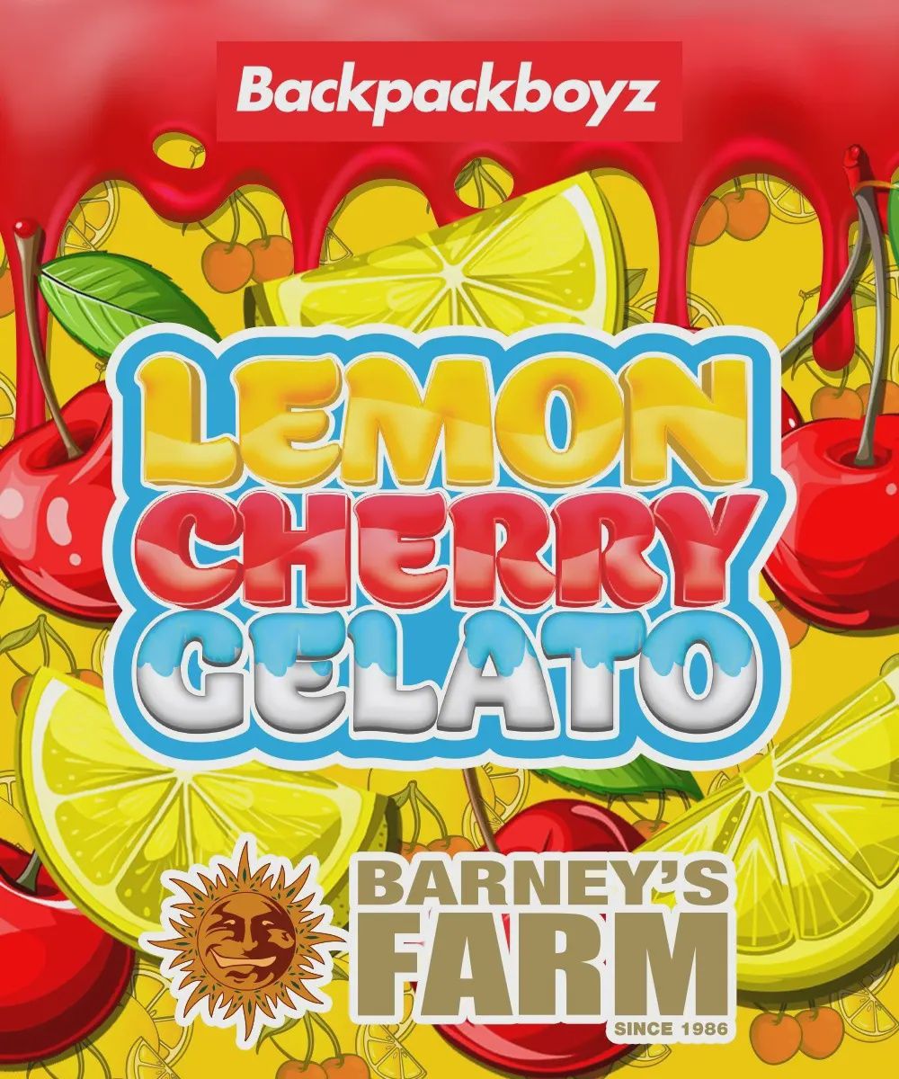 Lemon Cherry Gelato - 3 pack