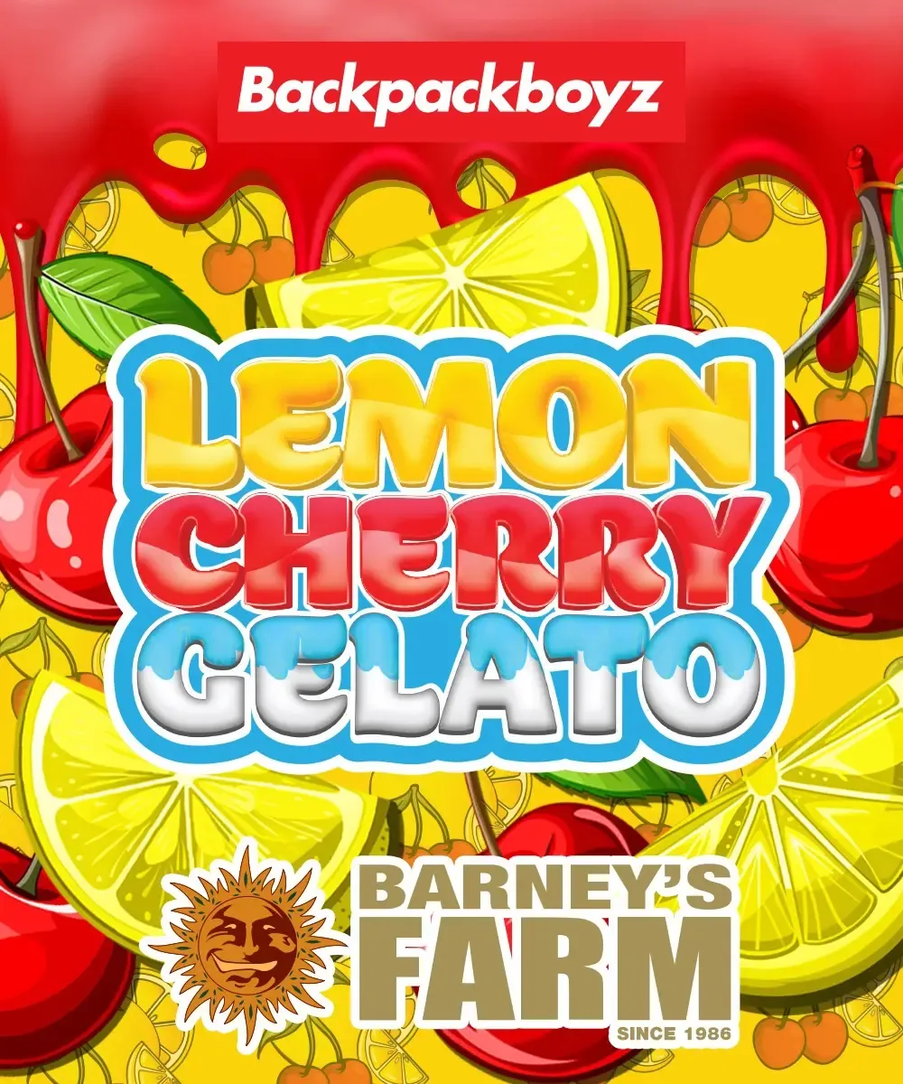 Lemon Cherry Gelato - 3 pack