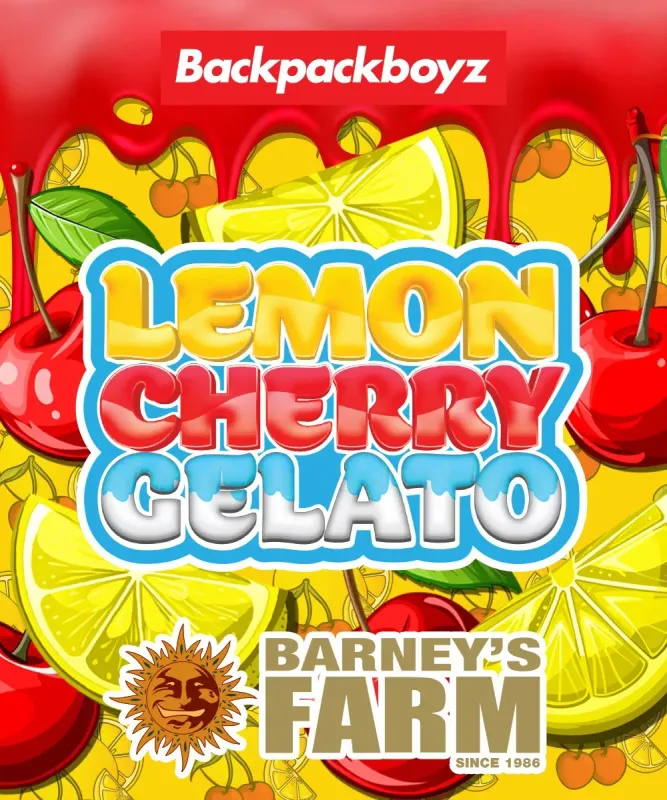 Lemon Cherry Gelato - 3 pack