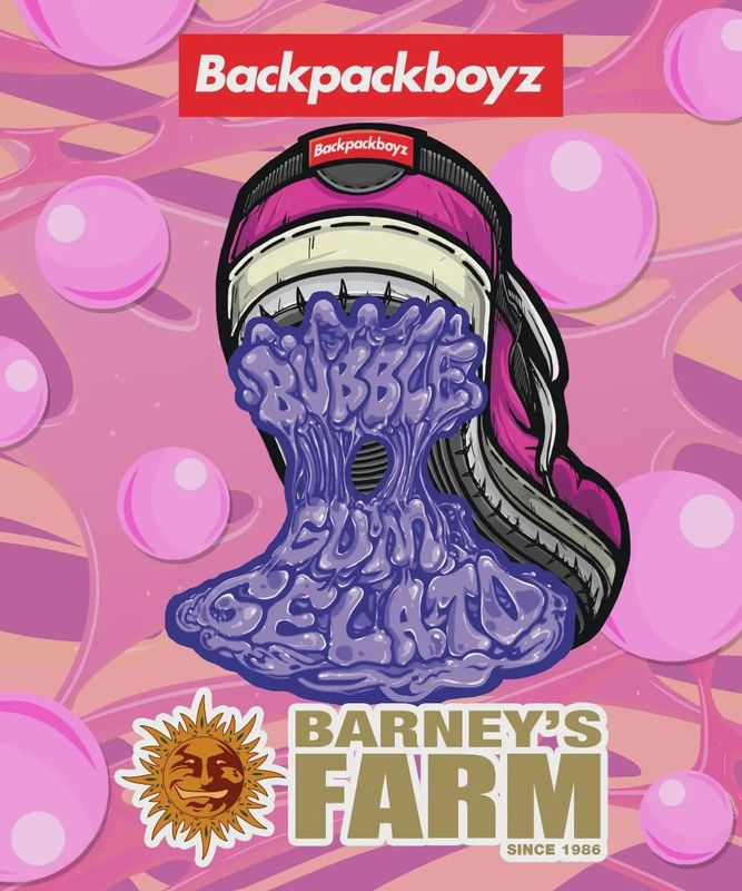 Bubblegum Gelato - 3 Pack