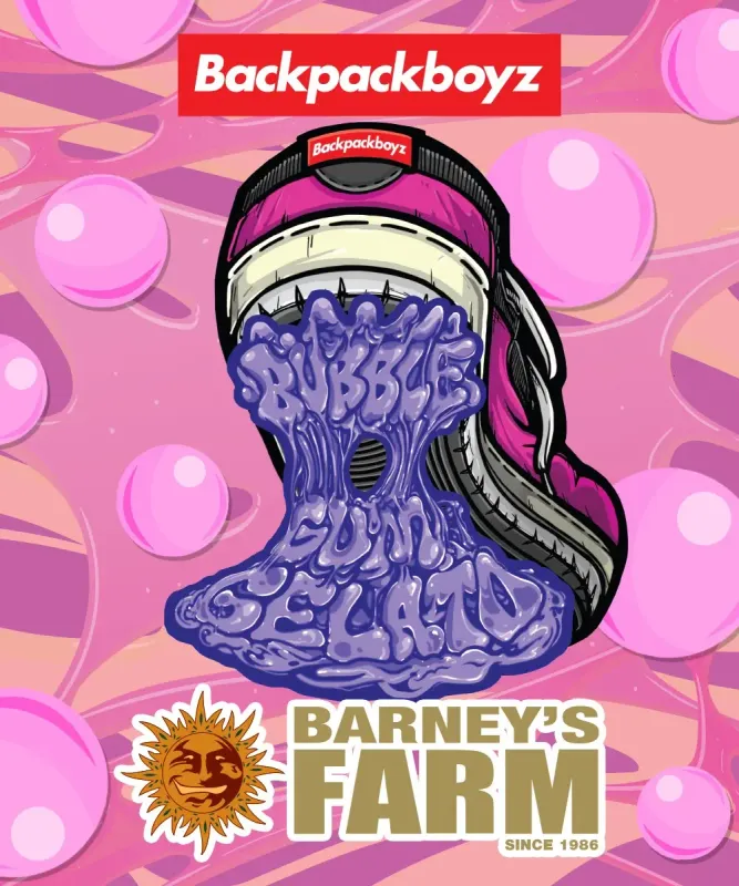 Bubblegum Gelato - 3 Pack