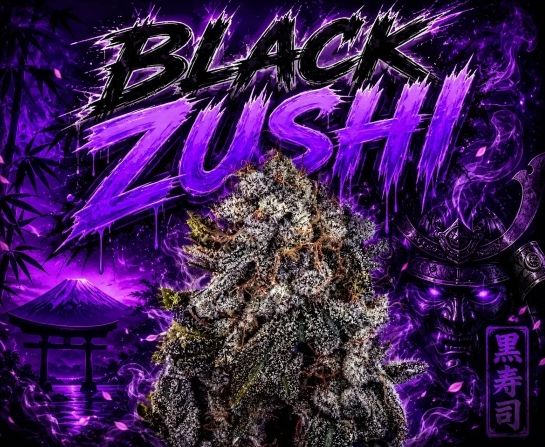 Black Zushi S1 - 10 Pack