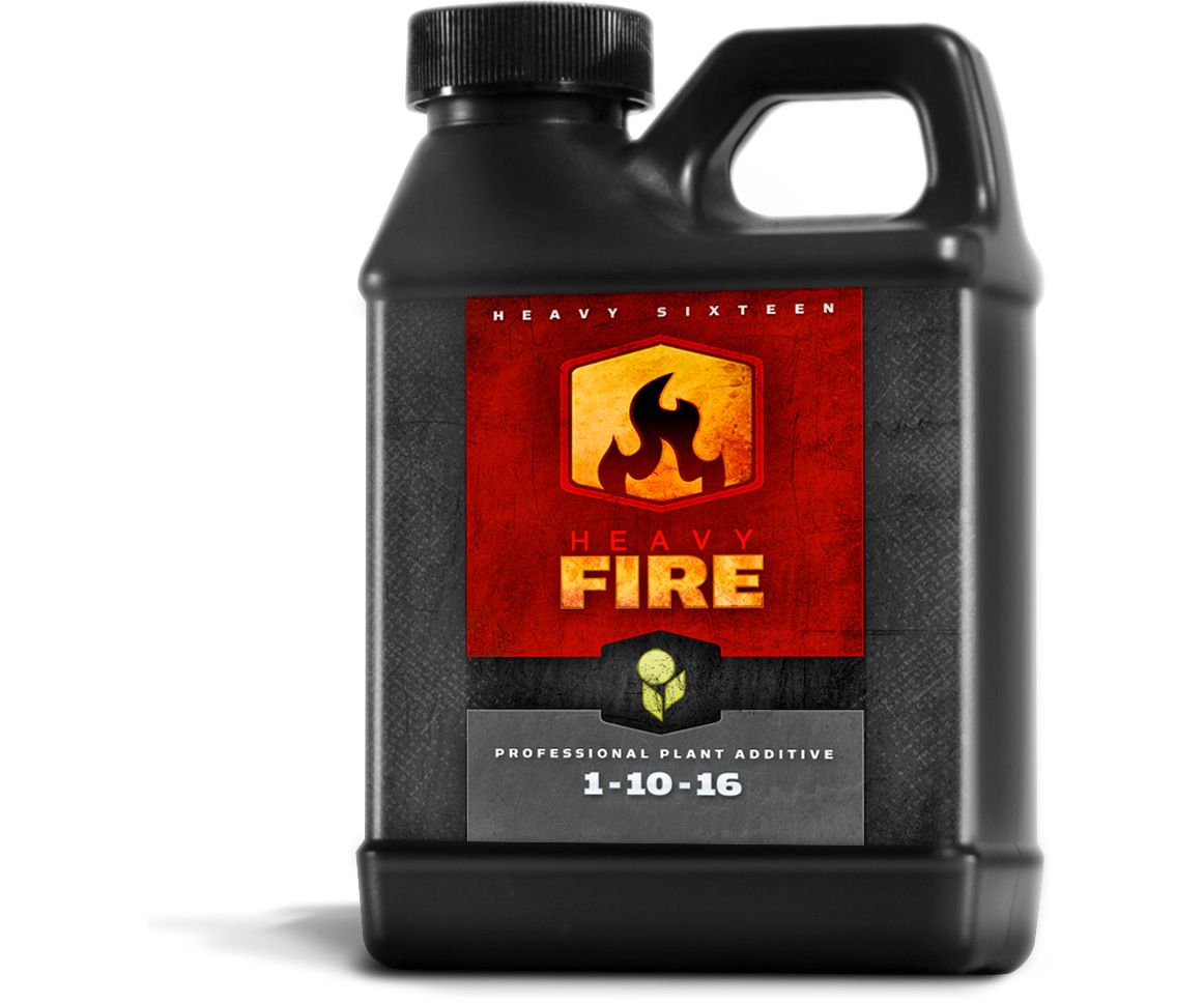 HEAVY 16 Fire, 8 oz