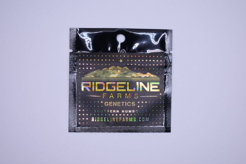 Ridgeline Farms Ridgeline Rebel Seeds (Double OG Chem x Lantz)