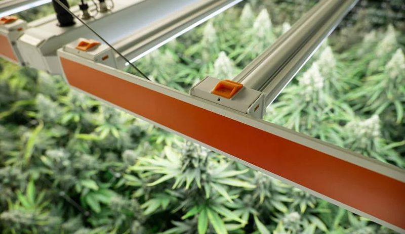 Fluence SPYDR 2r47 LED Grow Light, Broad R4 Spectrum, with 6' 240V Power Cord